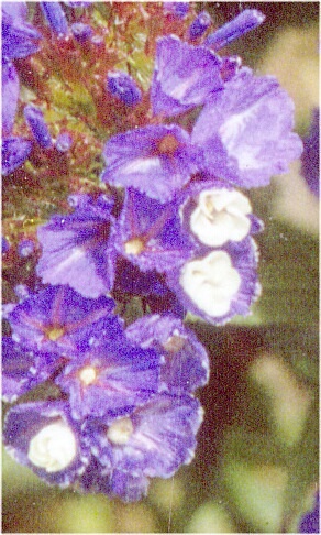 img1