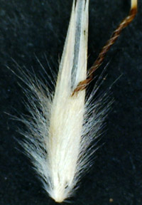 img3